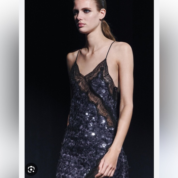 Zara | Sequin and Lace Midi Dress - Picture 3 of 9